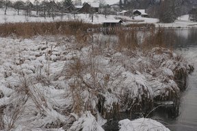 Verschneite Badi Lützelsee mit Fischerhaus und Lutikon