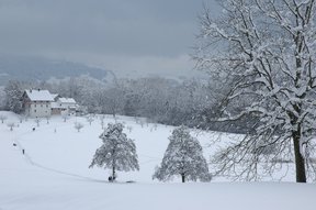 Tief verschneite Winterlandschaft am Lützelsee