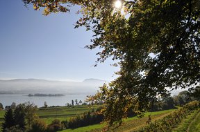 Aussicht in der Gamsten auf Zürichsee, Insel Ufenau und Etzel