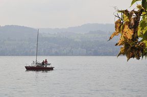 Slow-Up auf dem Zürichsee bei Meilen