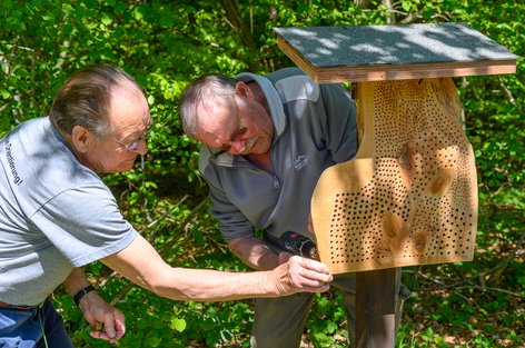 Installation der neuen Wildbienennisthilfe beim Waldlehrpfad des Ornithologischen Verein Hombrechtikon zwischen Langgass und Trüllisberg am 8. Mai 2021 um 13.39 Uhr