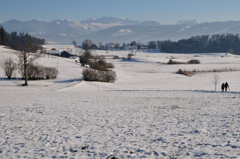 Lutikerriet mit den Weilern Hasel und Lützelsee und den Schwyzer Alpen am 29. Januar 2017 um 15.10 Uhr