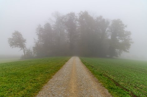 Nebel beim Stigelenholz