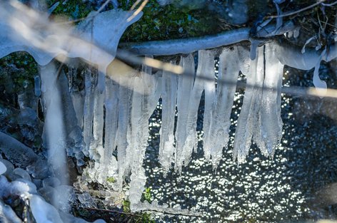 Eiszapfen beim Schwarzbach im Lutikerriet