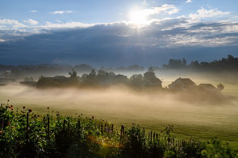 Nebelstimmung im Usser-Langenriet am 11. September 2021 um 8.07 Uhr
