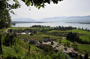 Feldbach mit Schloss Rapperswil, Speer, Federispitz, Schwyzer und Glarner Alpen vom Trüllisberg aus gesehen