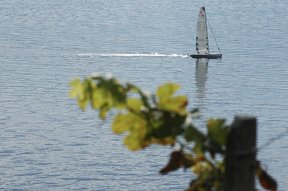 Segelschiff auf dem Zürichsee bei der Risi in Uerikon