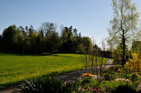 Garten und Waldrand im Usser-Langenriet am 22. April 2015 um 17.35 Uhr