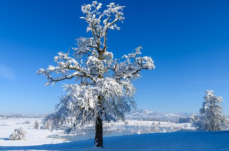 Strahlender Wintertag mit Lützelsee und Bachtel