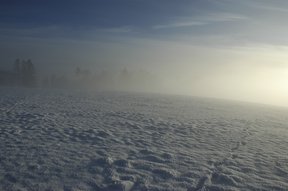 Nebelgrenze im Zürcher Oberland