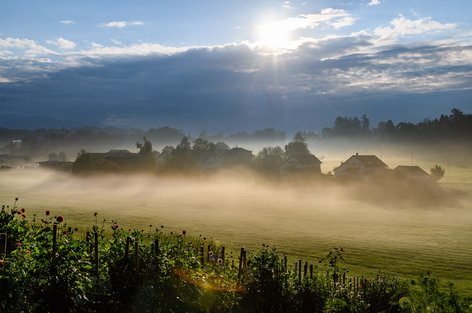 Nebelstimmung im Usser-Langenriet