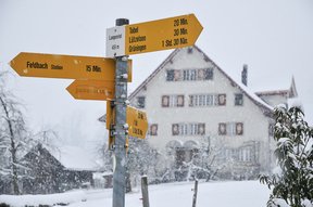 Schneegestöber im Inner-Langenriet