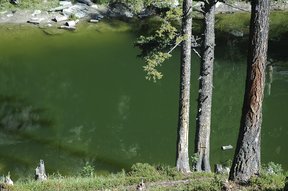 Schwarzsee bei der Fafleralp im Lötschental