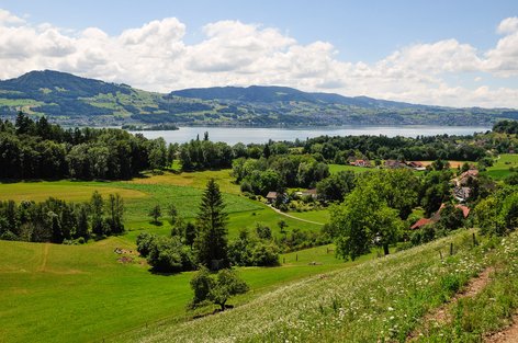 Aussicht vom Schwösterrain auf den Weiler Schlatt, Zürichsee und Etzel am 30. Juni 2017 um 13.59 Uhr
