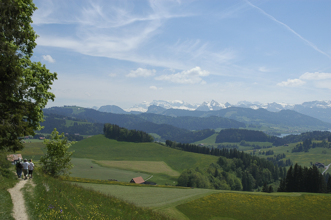 Wanderweg am Etzel mit Blick auf Schwyzer Alpen und Sihlsee