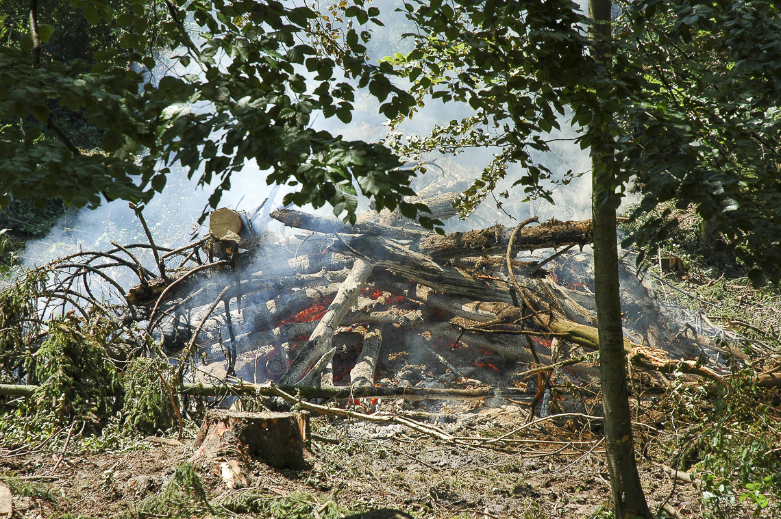 Holzi-Feuer im Grüthölzli