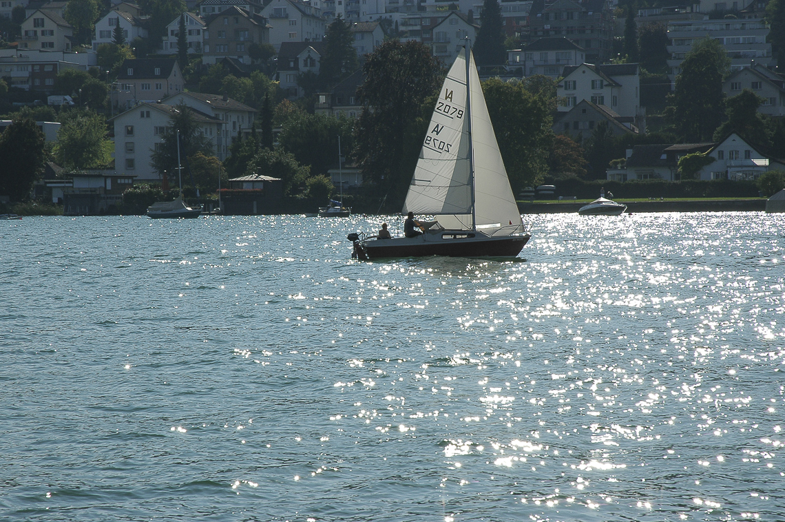 Segelschiff auf dem Zürichsee bei Zürich