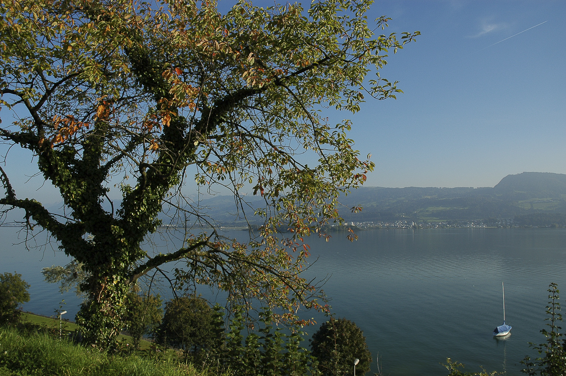 Ausblick von der Alten Landstrasse auf den Zürichsee und Etzel