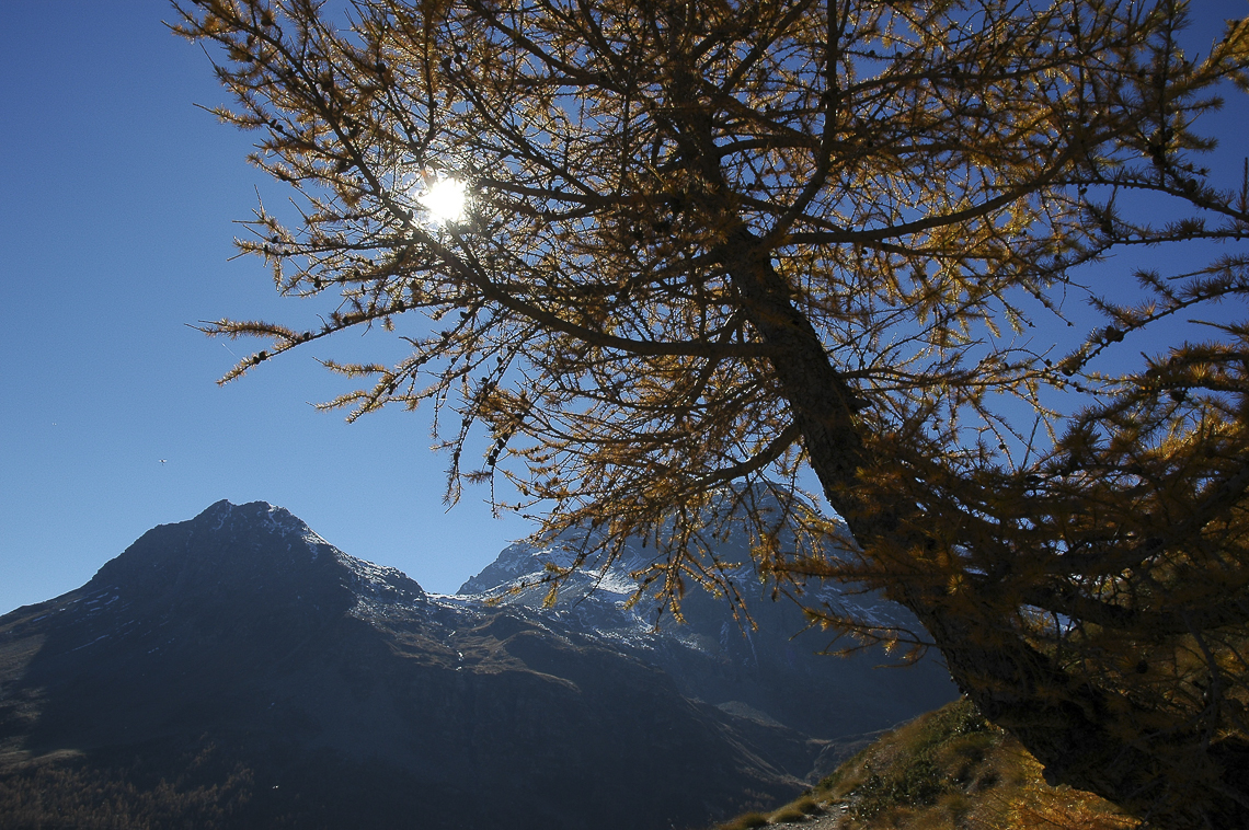 Val Poschiavo oberhalb Alp Grüm
