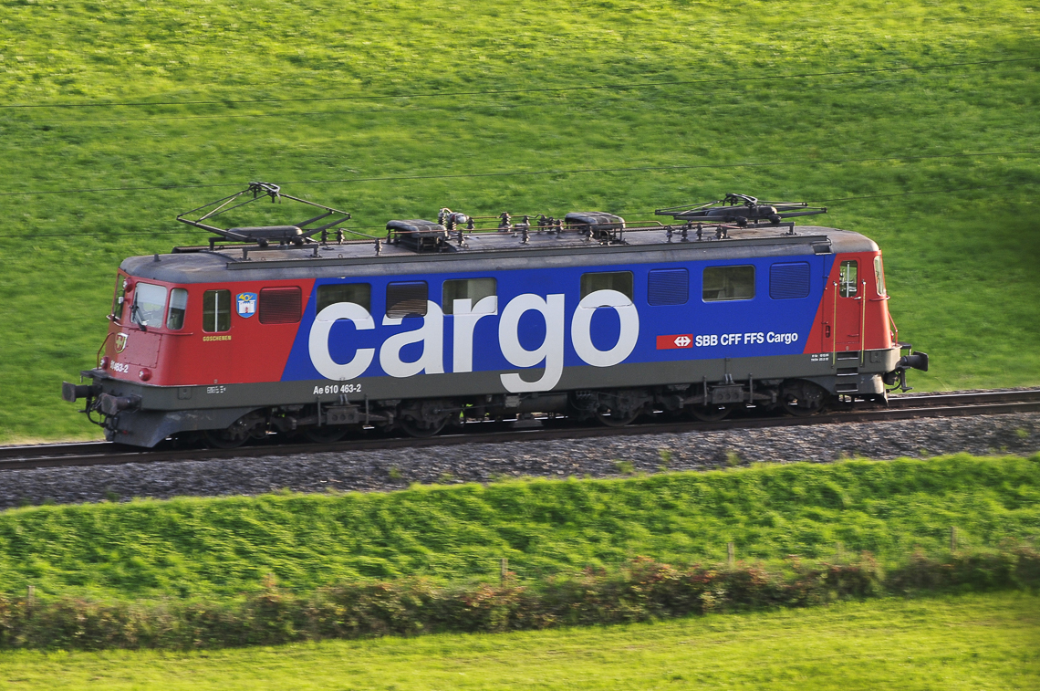 Cargo-Lokomotive zwischen Feldbach und Uerikon
