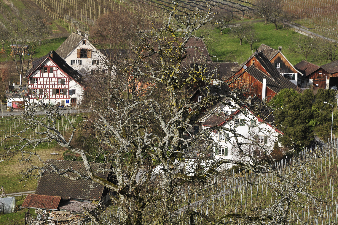 Weiler Mutzmalen im Rebberg Lattenberg in Stäfa