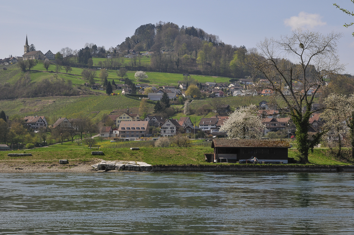 Rüdlingen am Rhein mit Buchberg