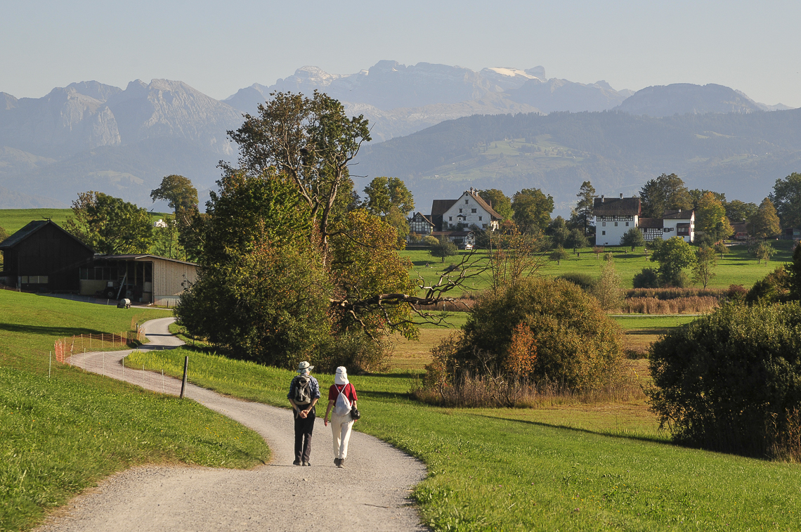 Lutikerriet mit Hasel, Lützelsee und Glarner Alpen