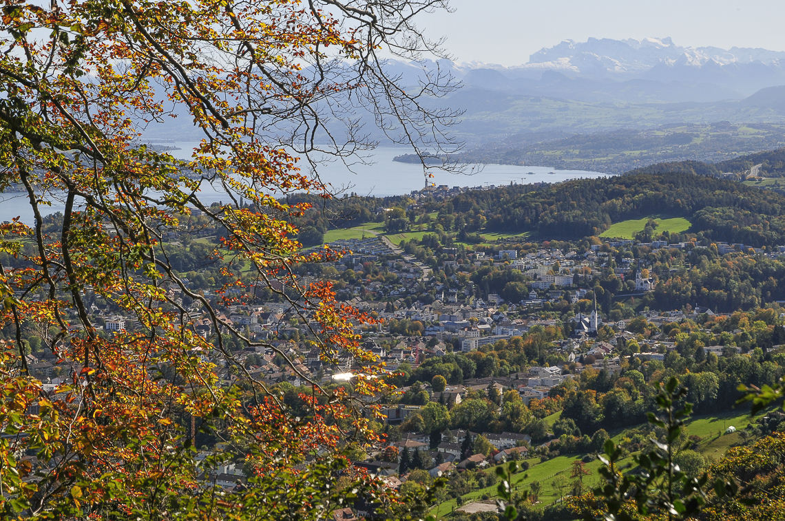 Adliswil mit Zürichsee und Glarner Alpen