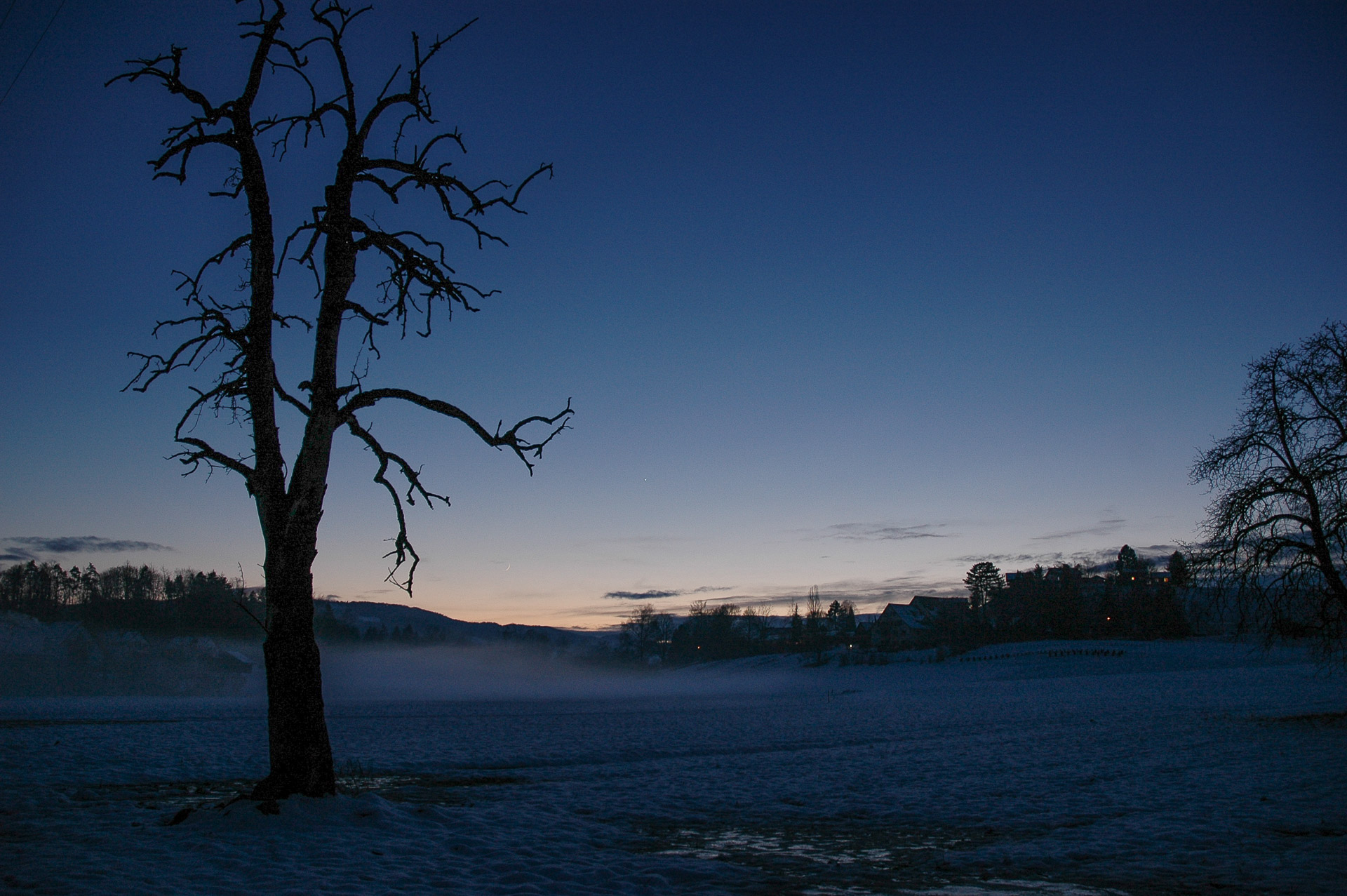 Blaue Stunde im Langenriet am 1. Januar 2006 um 17.16 Uhr