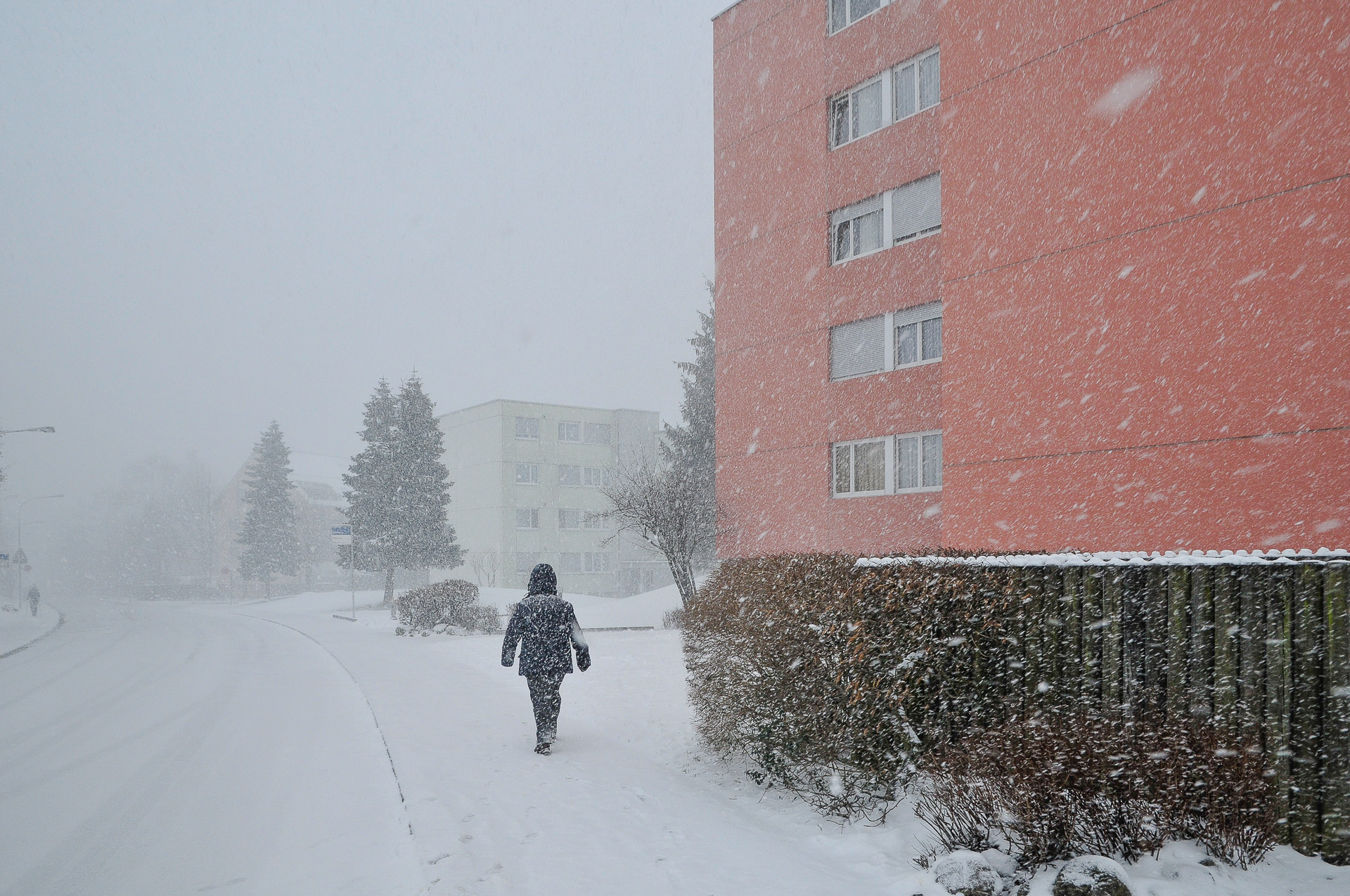 Schneesturm an der Eichtalstrasse am 17. Januar 2016 um 15.16 Uhr
