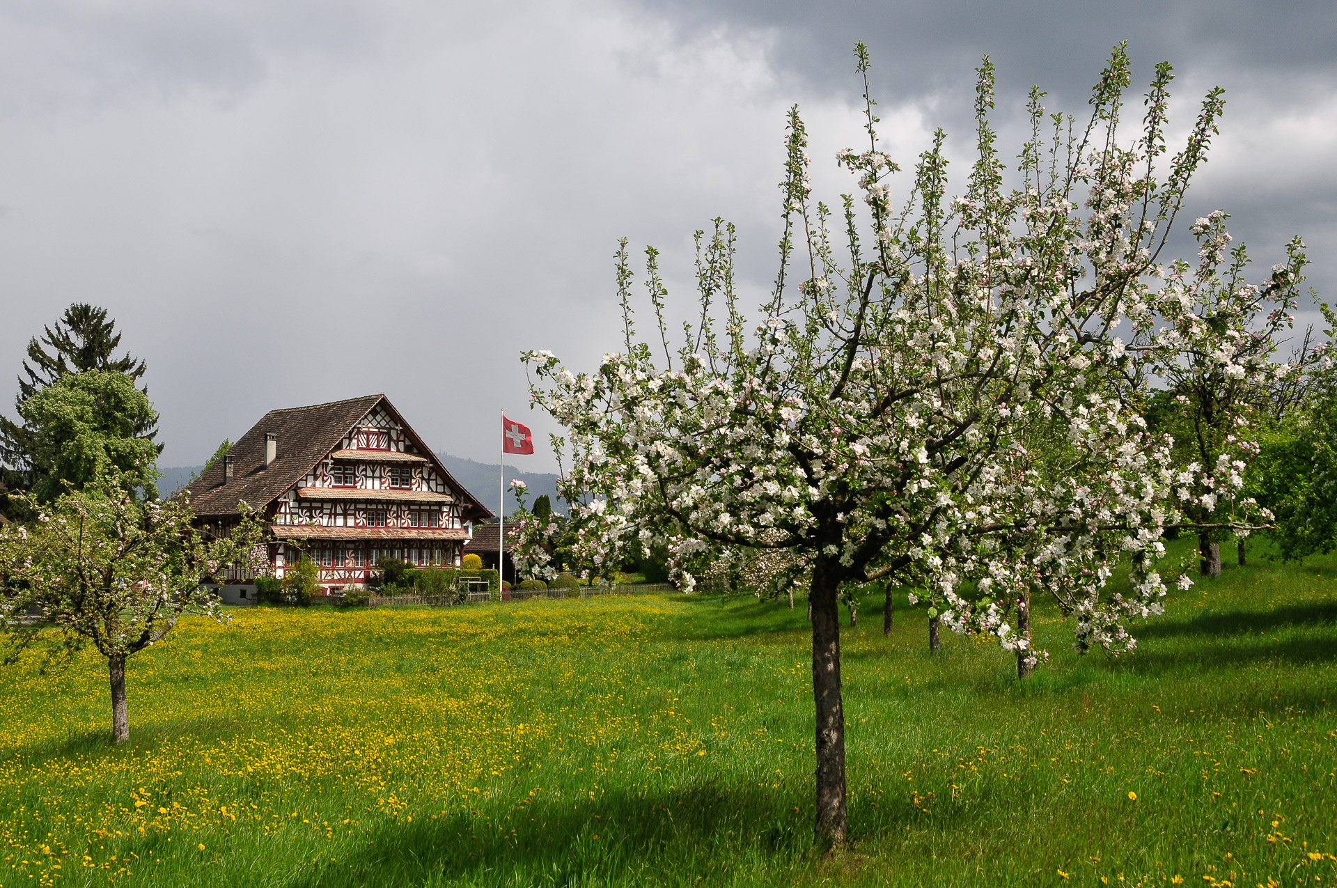 Eglihaus in Lutikon mit blühenden Apfelbäumen am 18. April 2017 um 14.20 Uhr